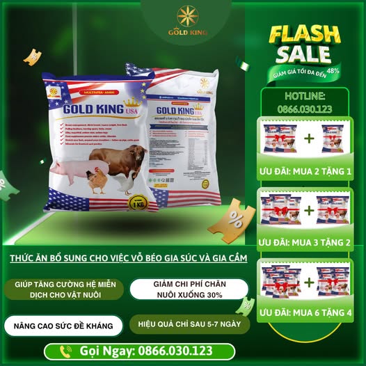 Flash Sale