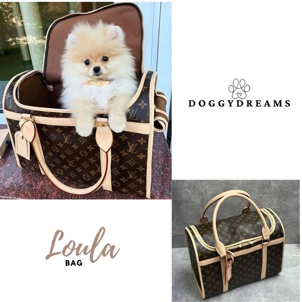Shop for travel essentials
