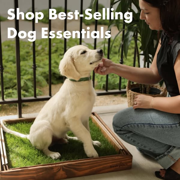 Shop the essentials
