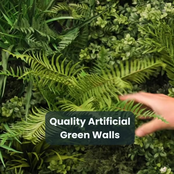 Authentic evergreen