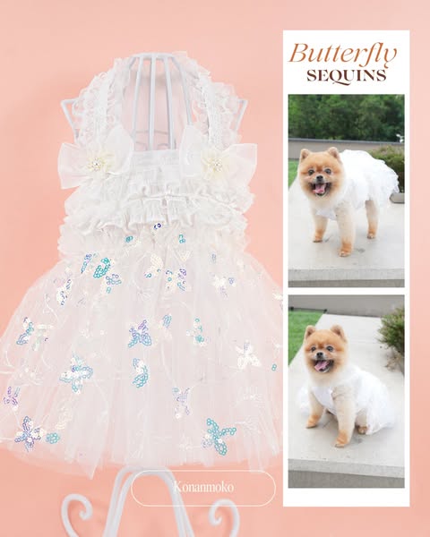 Shop for fashion trends
