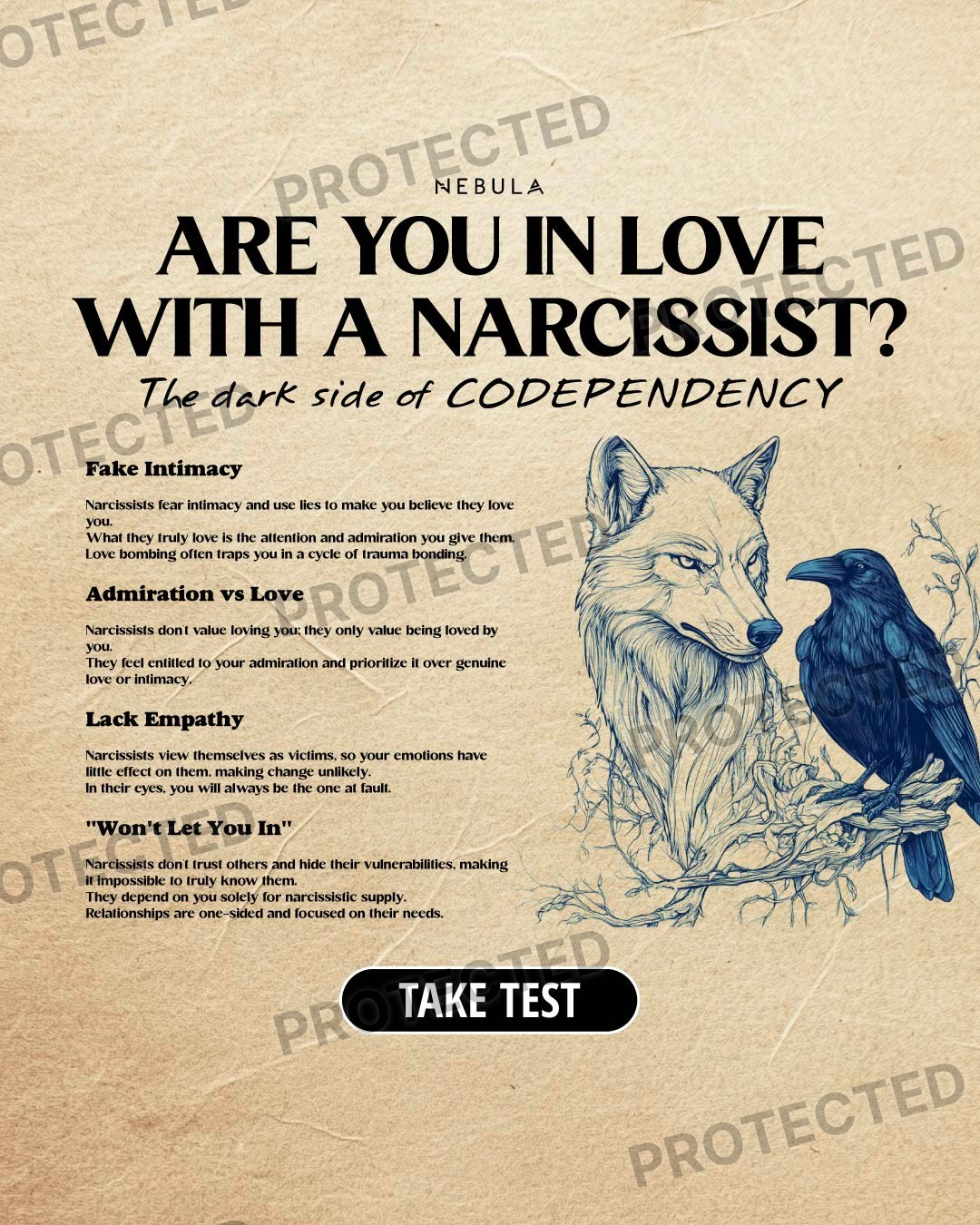 Focused narcissistic