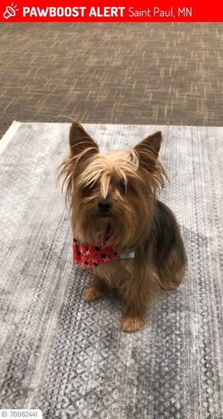 banfield.com