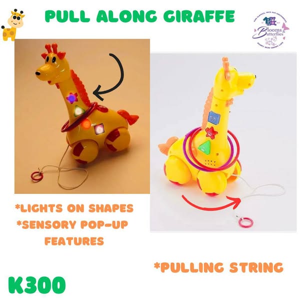 Baby Rattle