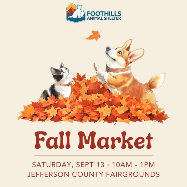 Shop for local businesses