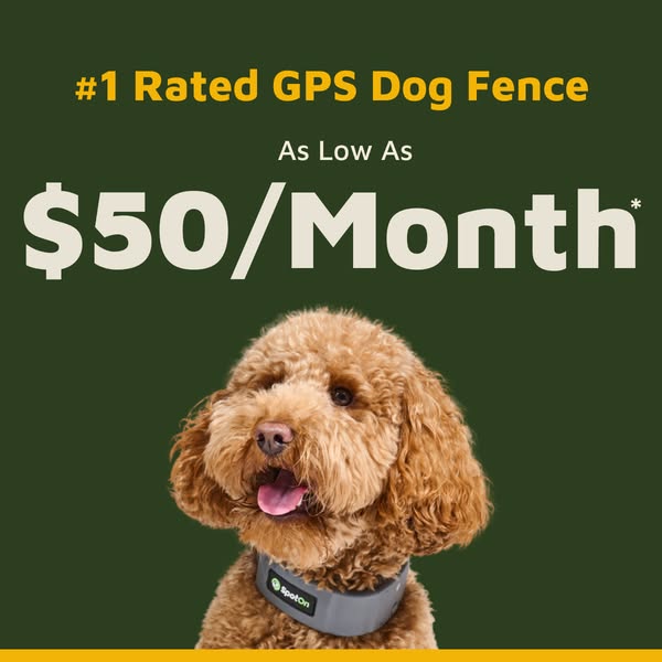 Cost-effective tag