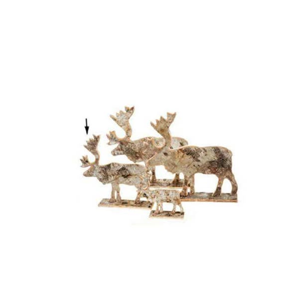 Shop for daily deals