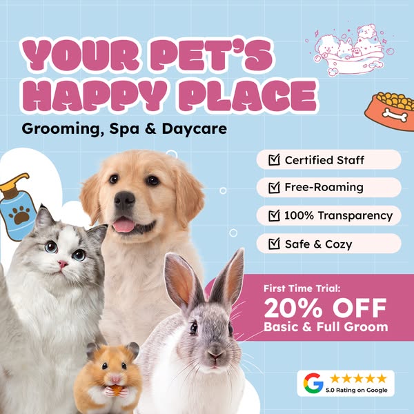 Cozy rating