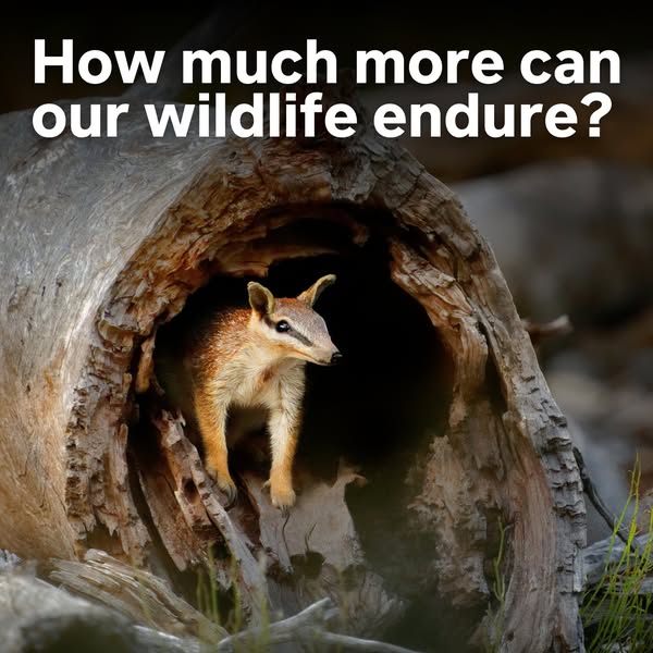 Effective endure