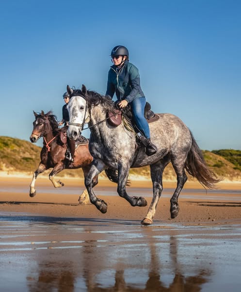 Rugged Rider