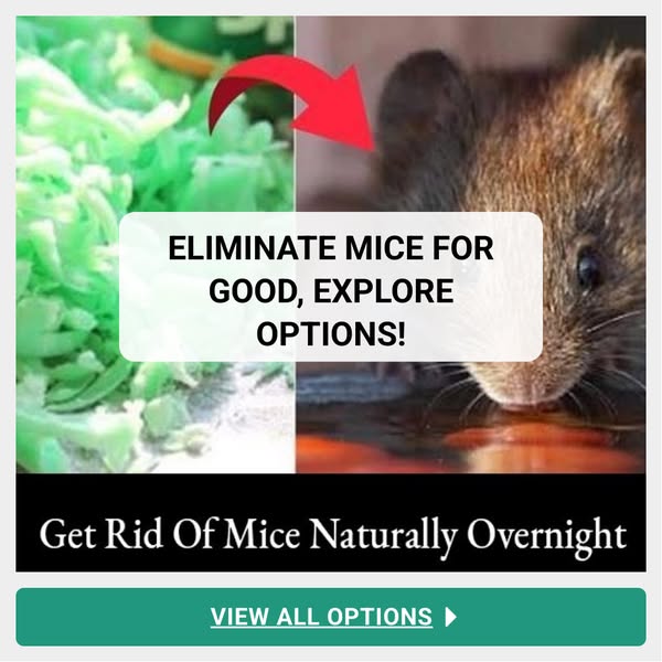 Effective mouse