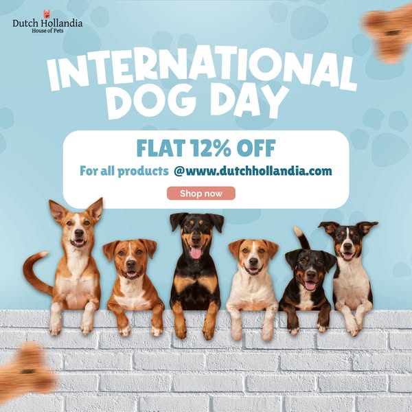 Shop for pet care products