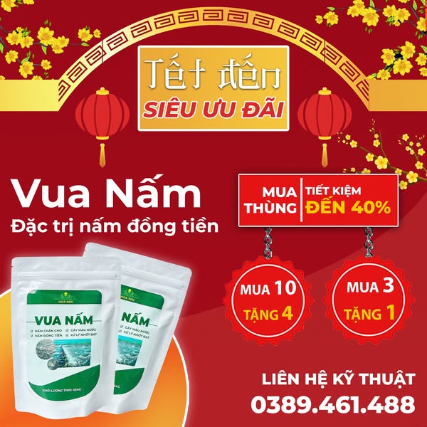 dten.com