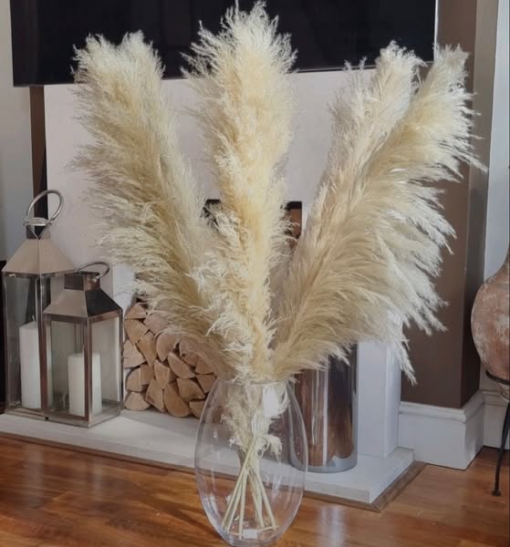 Shop for home decor