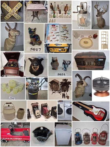 Shop for Smart Pet Feeders