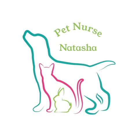 Shop for Pet Grooming