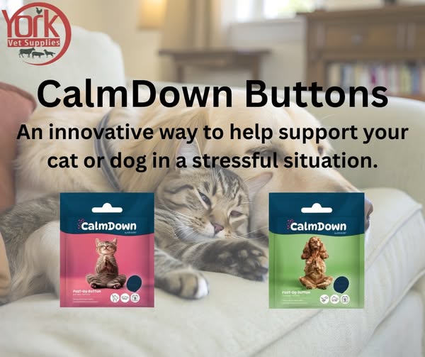 Shop for pet supplies