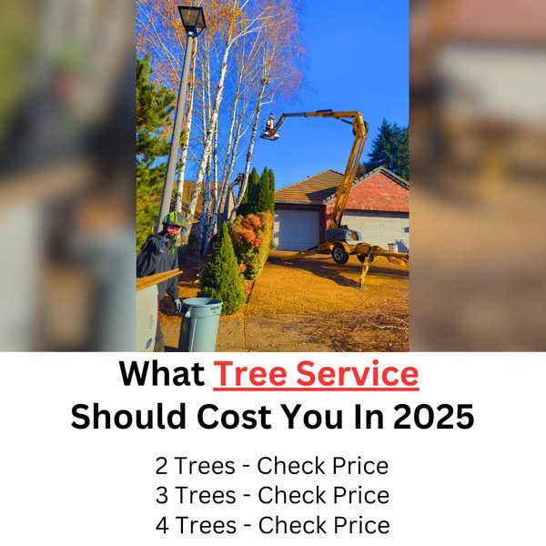 Budget-friendly surprised