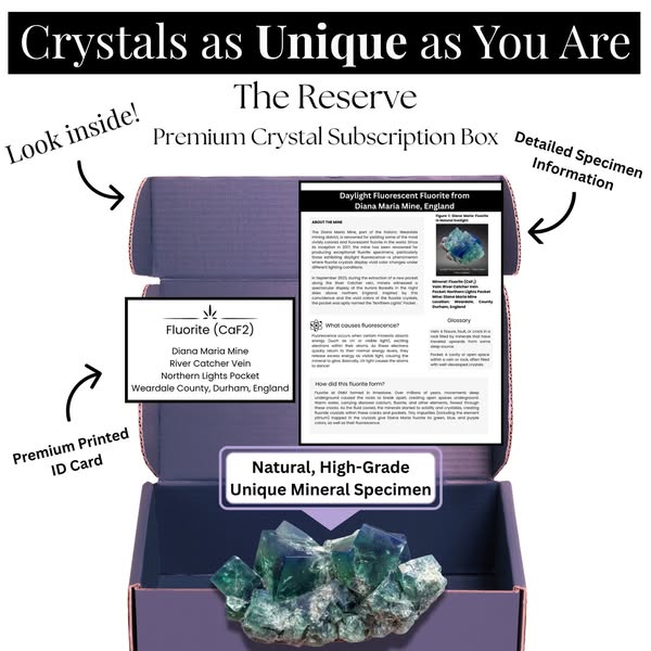 Curated Collection