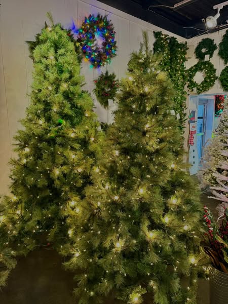 Shop for Christmas