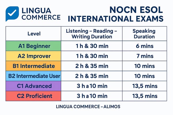 B2C e-commerce