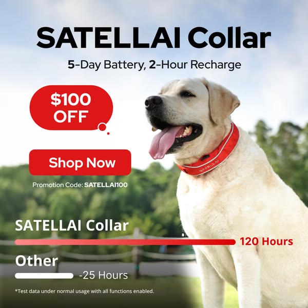Shop for Same-Day Shipping