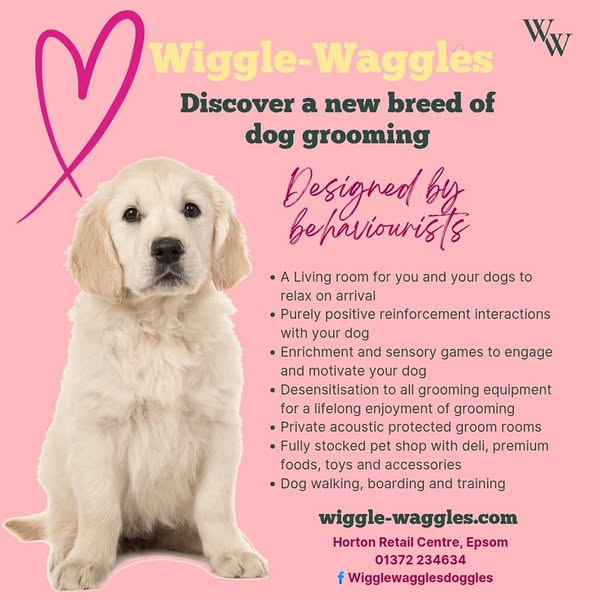 Shop for pet grooming