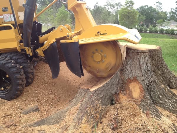 Affordable stump