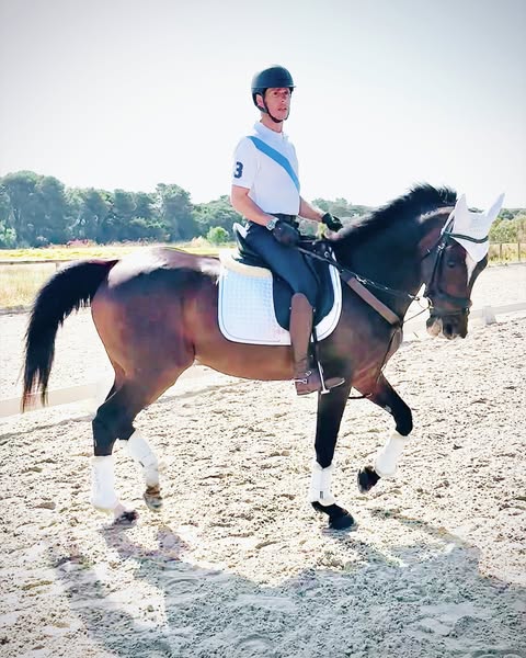 horsepower