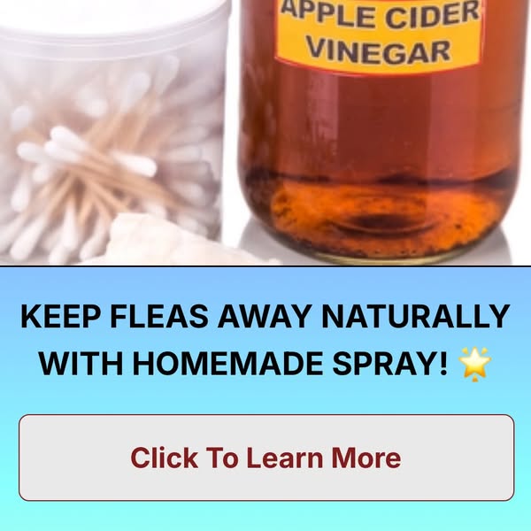 Safe cider