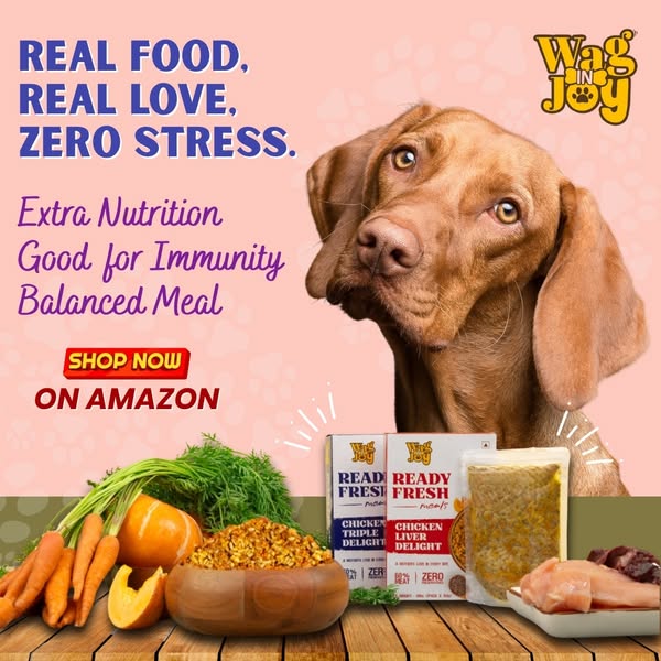 Shop for pet care products