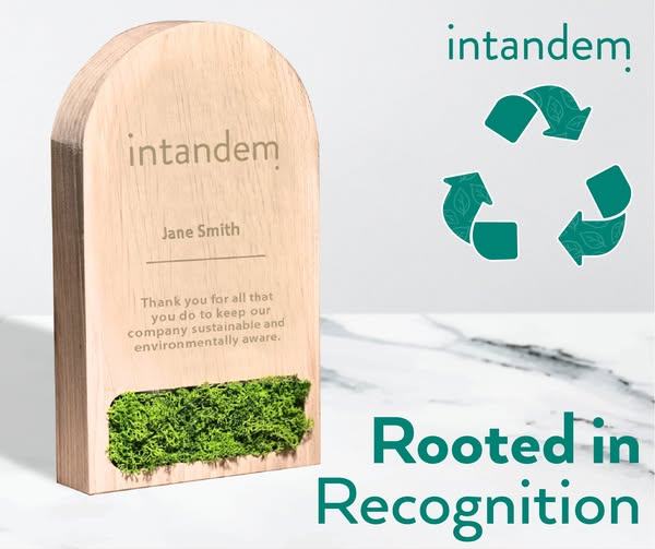 Eco-friendly throughout