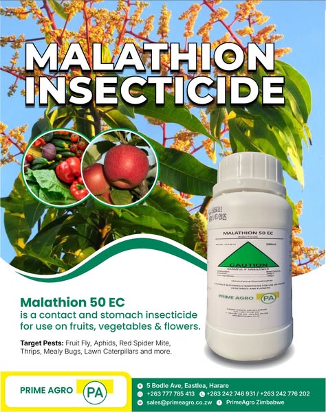 insecticide