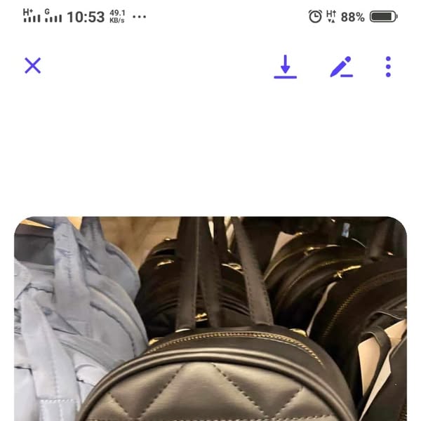 Shop Women's Clothing