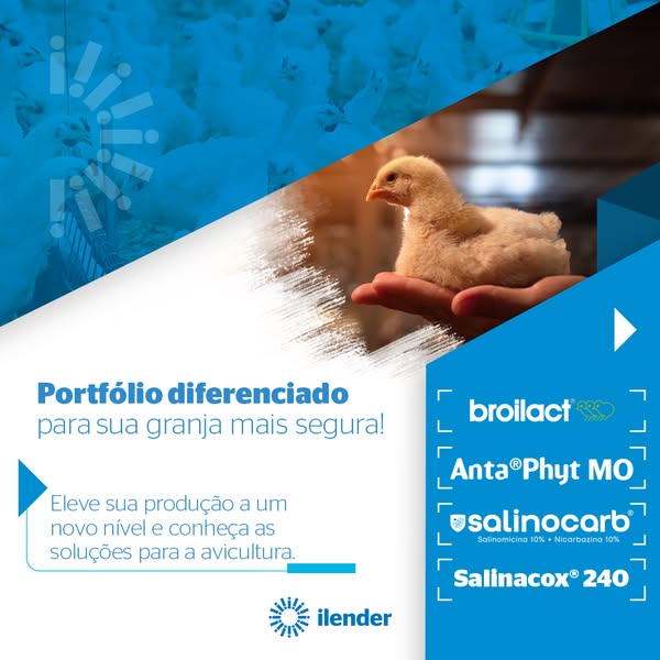 Ideal portfolio