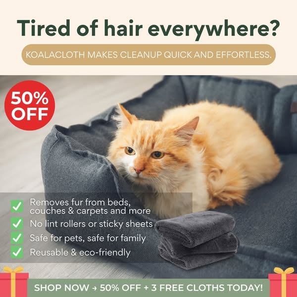 Eco-friendly Products