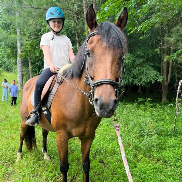Safe horseback