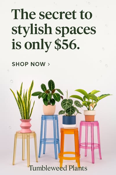 Shop for garden decor