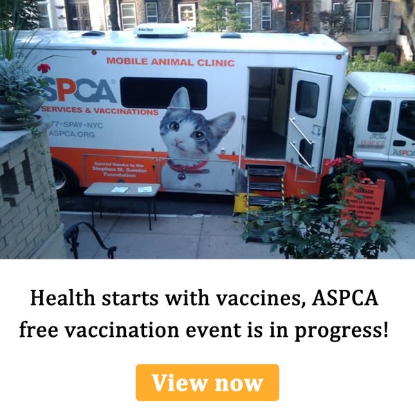 aspca.org