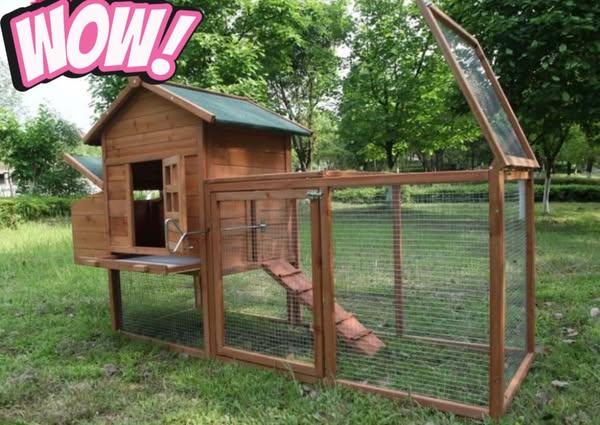 Egg Crate