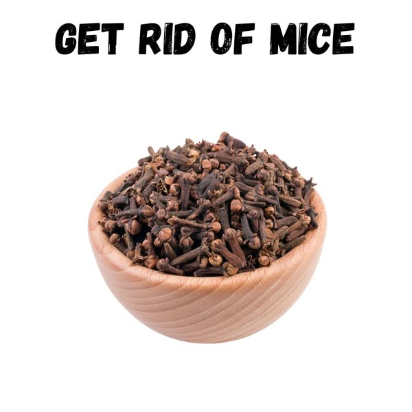 Trendy removal