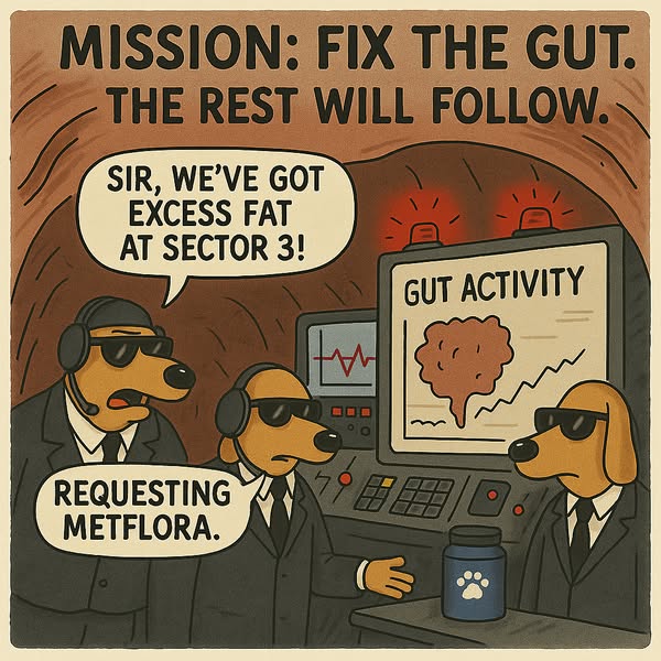 Innovative fat