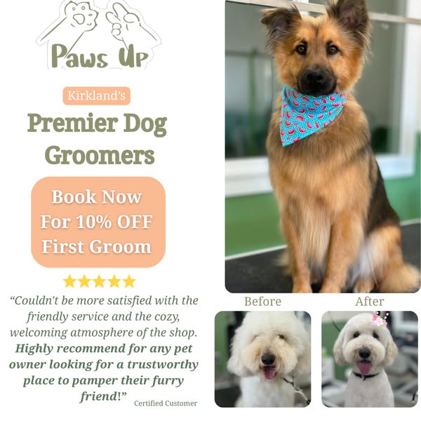 Shop for pet grooming