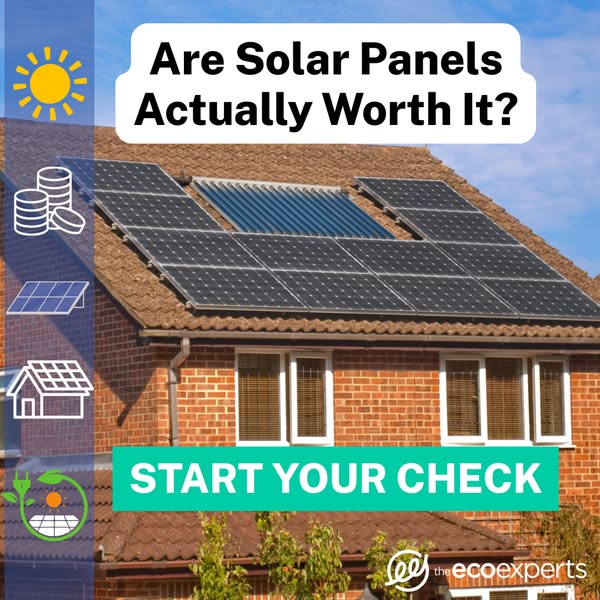 Eco-friendly worth