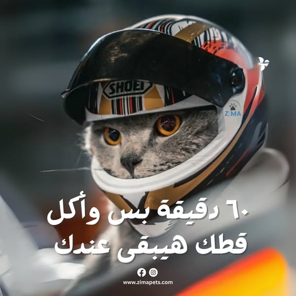 Shop for pet grooming