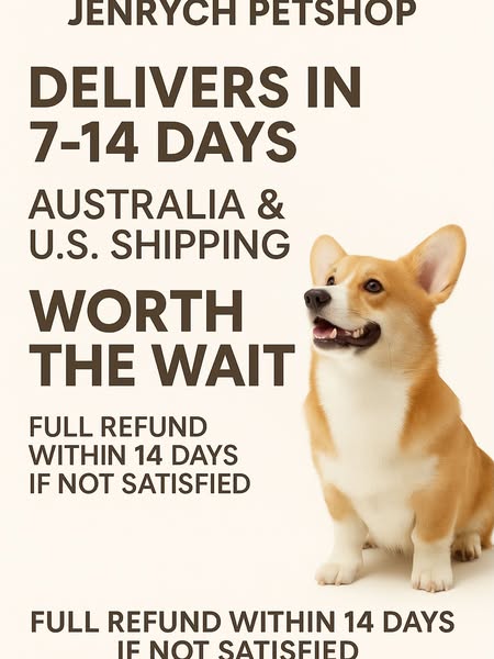 Shop for pet grooming products