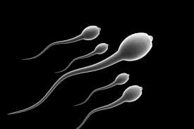 Natural reproductive