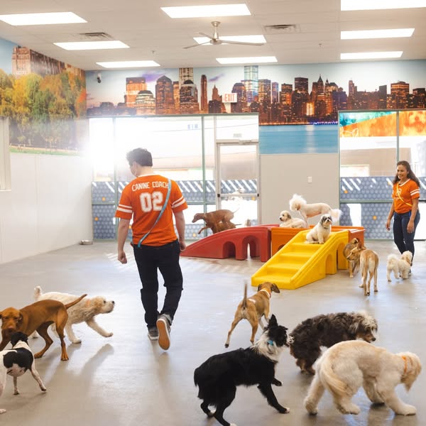 Exciting daycare