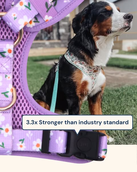 Stylish risk
