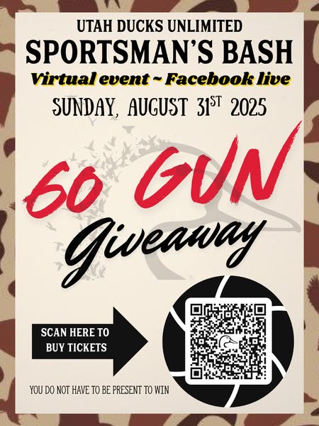 Virtual event tickets